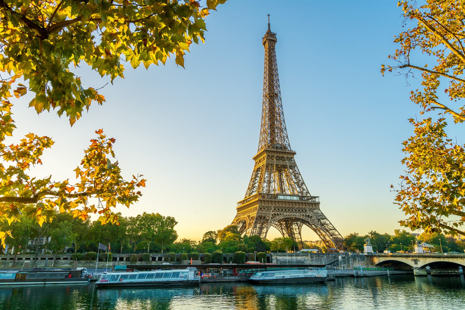 Eiffel Tower framed by autumn trees above the Seine in Paris