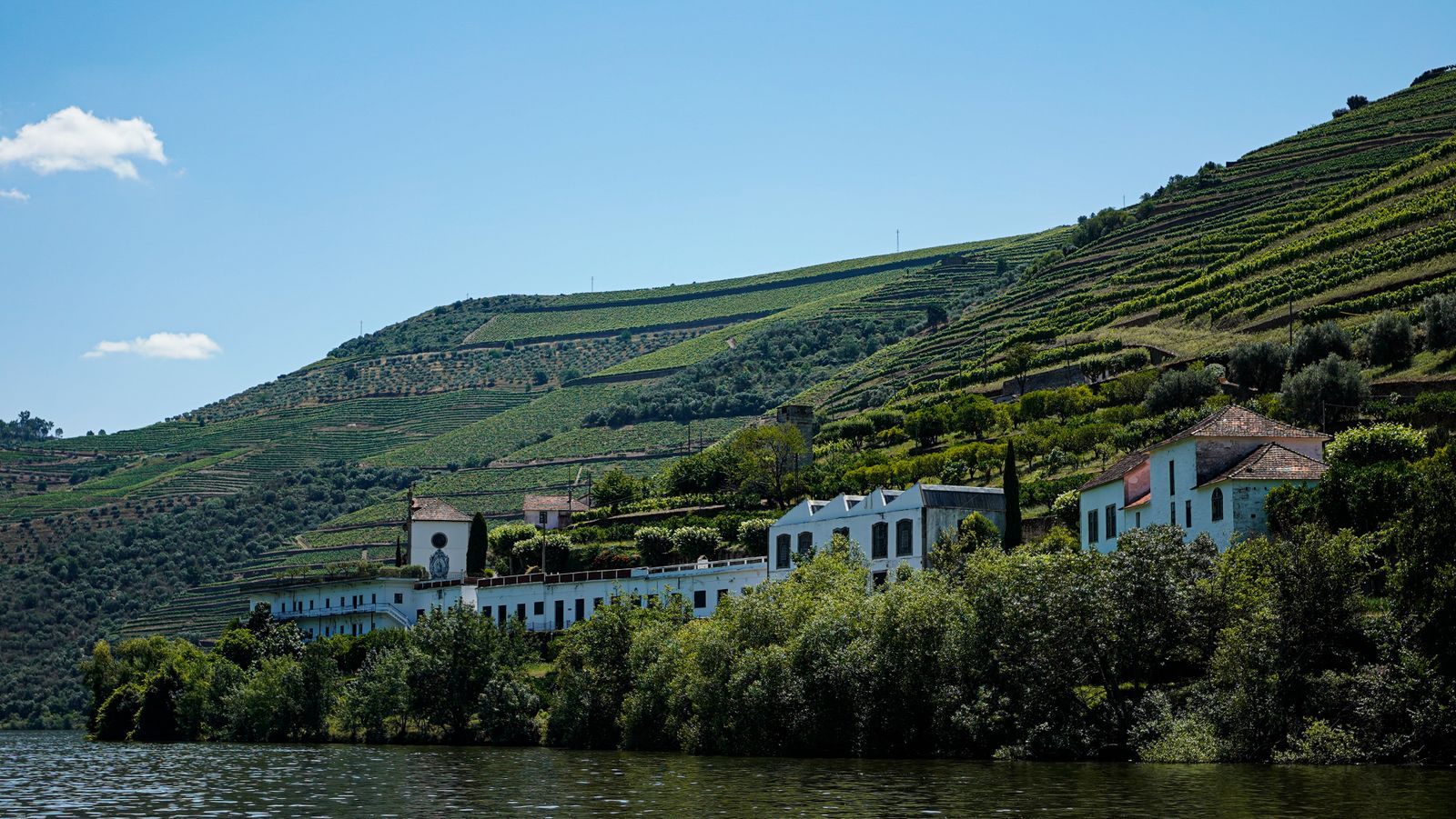 Quinta and terraced vineyards above the Douro River in Portugal, a river where Viking vs AmaWaterways is a common choice