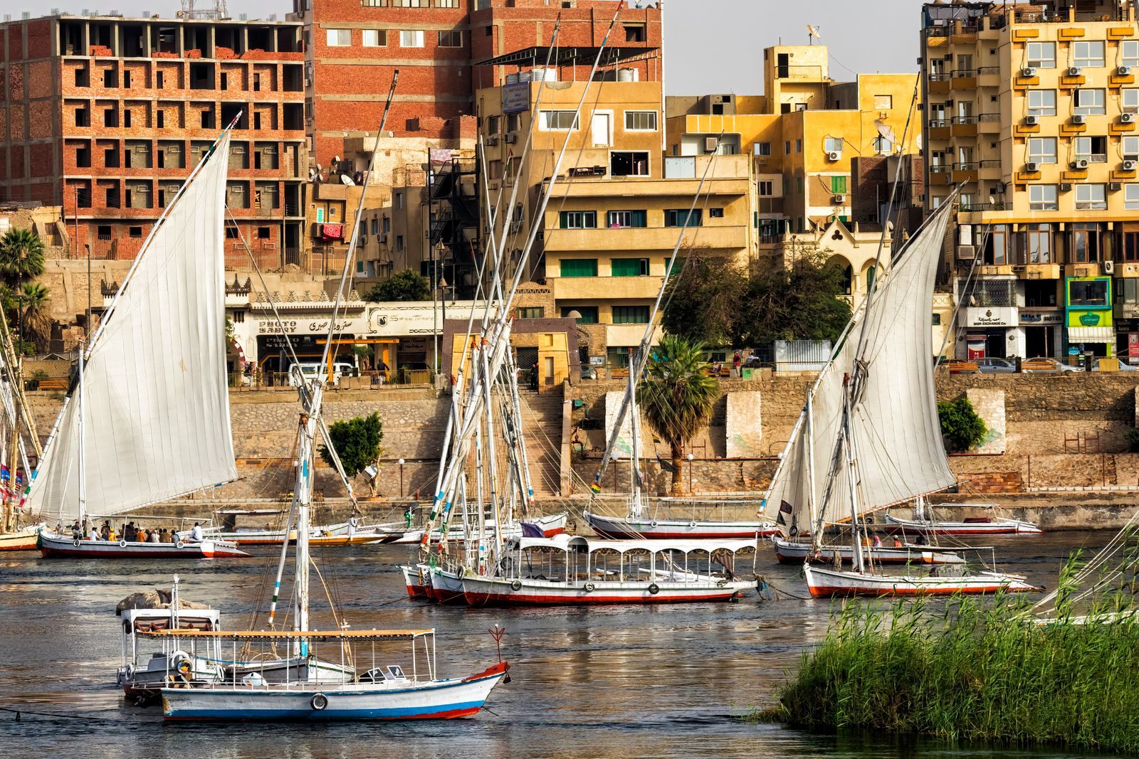 White-sailed feluccas on the Nile along the Aswan riverfront, Egypt